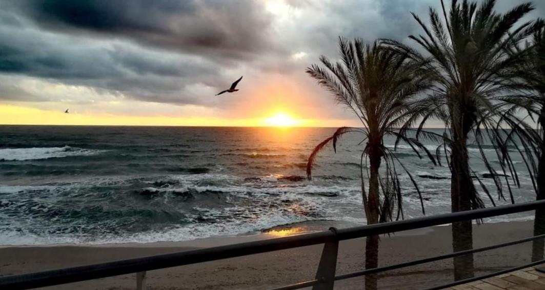 El Estudio De La Playa Benalbeach 324 Gran Terraza Vistas Al Mar بينالماذينا المظهر الخارجي الصورة